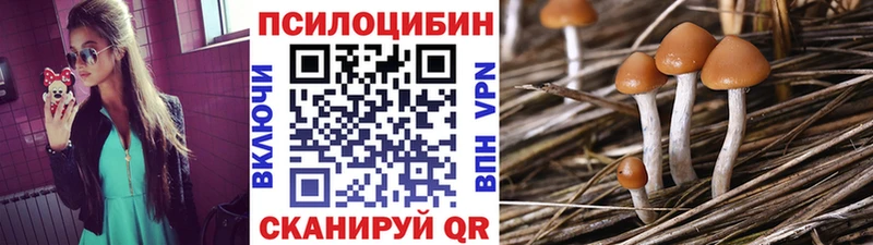 Галлюциногенные грибы Magic Shrooms  Вичуга 